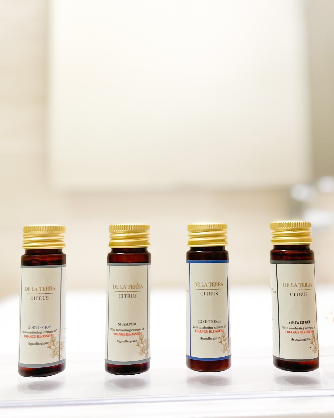 Amenities & Complements